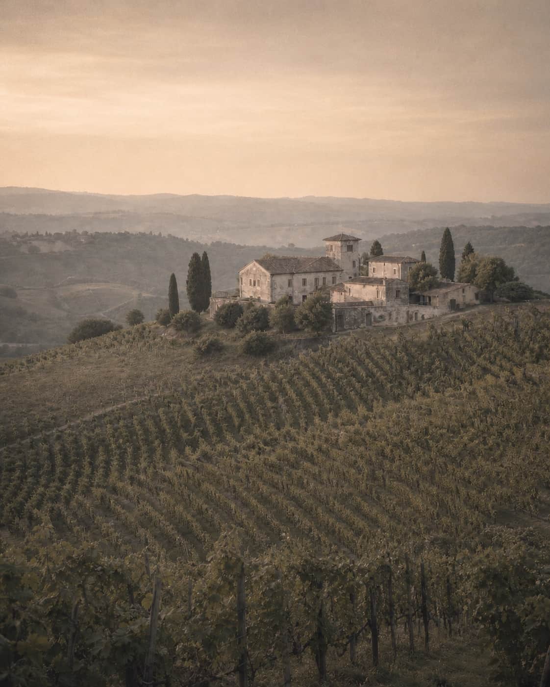 Old-world vineyard landscape and hillside estate at dusk
